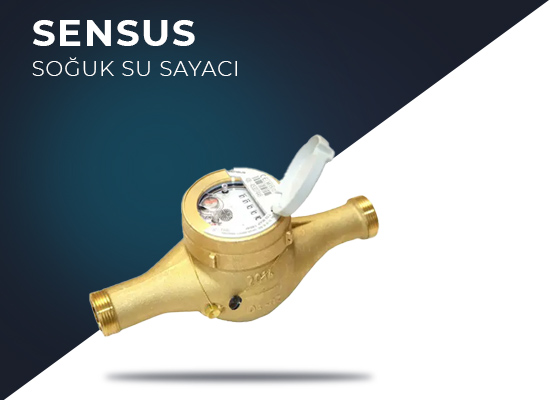 Sensus DN25 Soğuk Su Sayacı